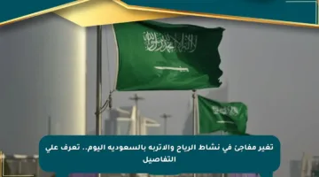 تغير مفاجئ في نشاط الرياح والأتربة بالسعودية اليوم.. تعرف على التفاصيل